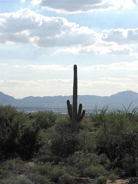 Tucson