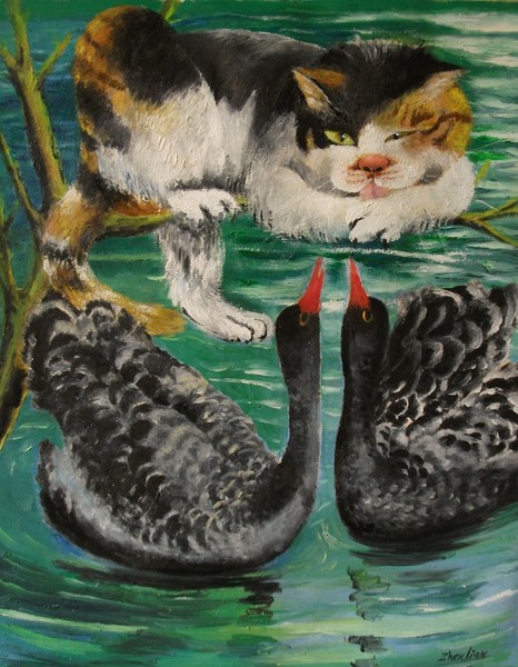 Cat and black swans