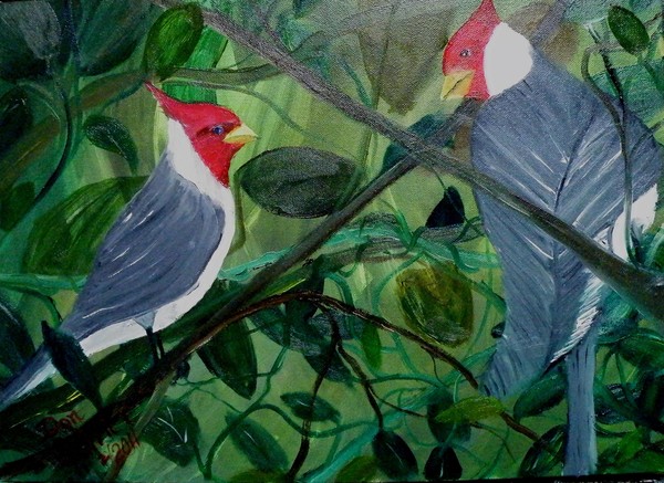 Hawiian Cardinals