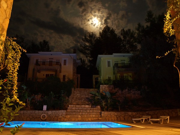 pool under the moon