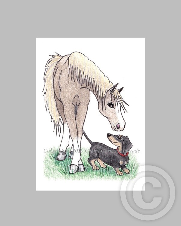 Cream Horse & Dachshund Whimsical Illustration