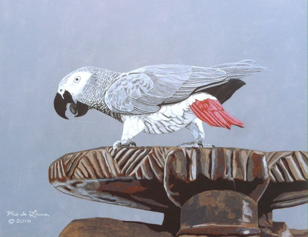 African Grey Parrot Acrylic Painting