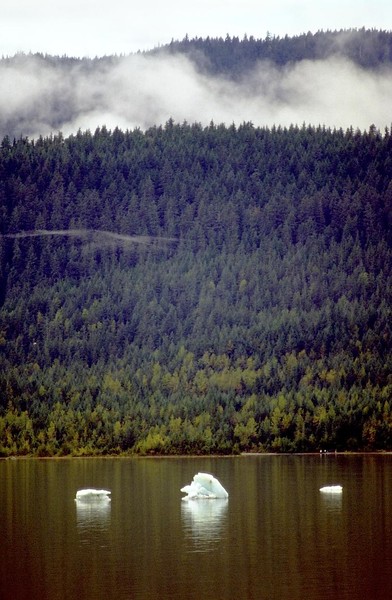 Floating Icebergs at Mendenhall Glacier