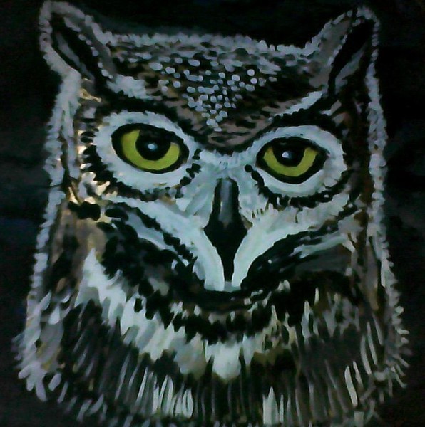 The wise owl