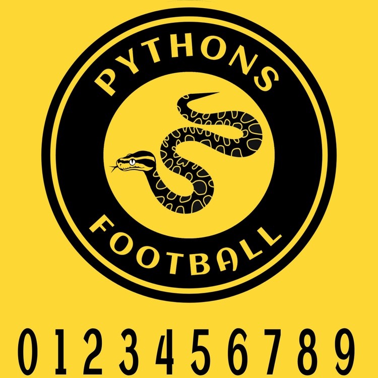 Pythons logo with numbers 