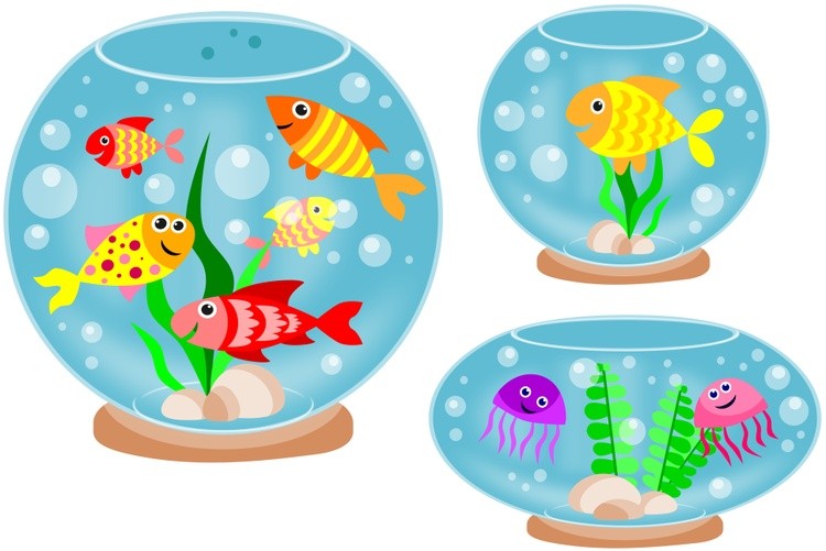 Three round aquariums with beautiful fish  