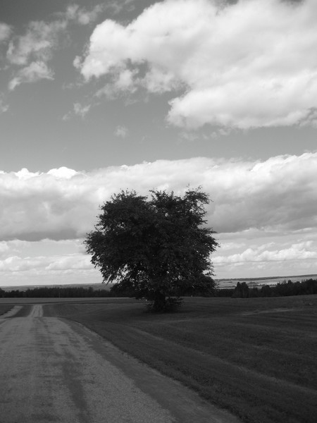 Back Roads