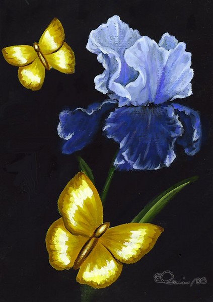 Blue Iris Golden Butterflies
