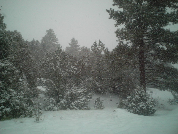 Snowing in the Sangre's 