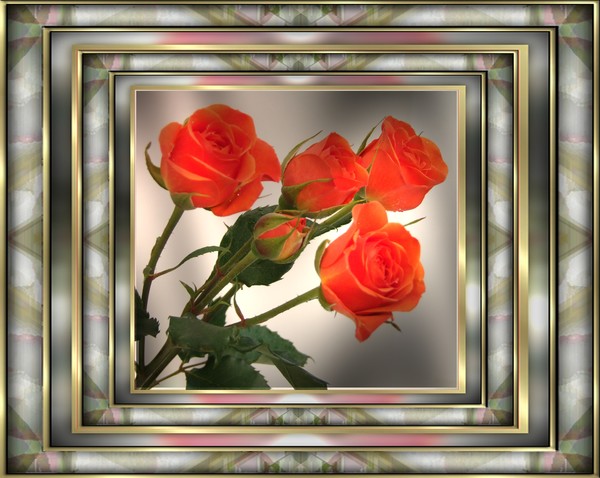 double framed roses