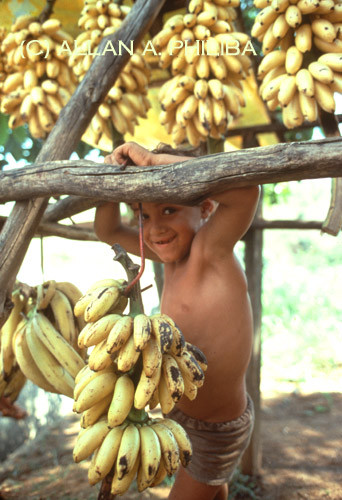Boy at a banana stand