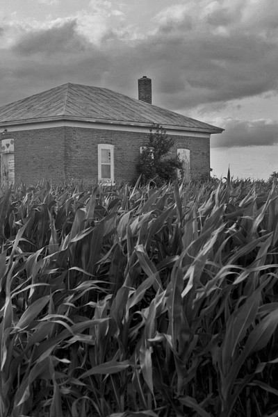 Abandoned in a cornfield