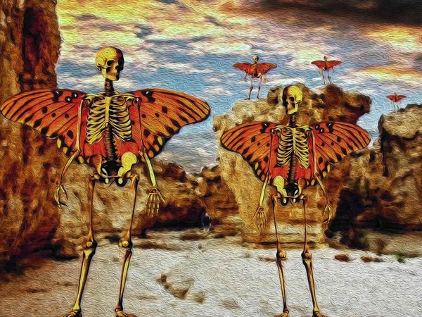 in the valley of winged skeletons