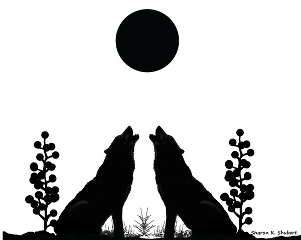 Two Howling Black Wolves