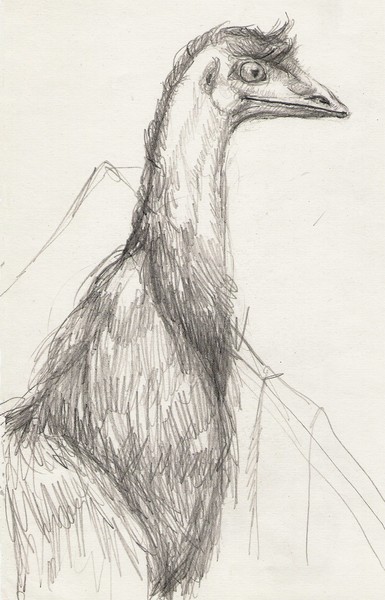 Emu