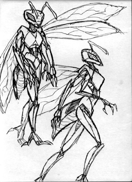 Initial Wasp Concept