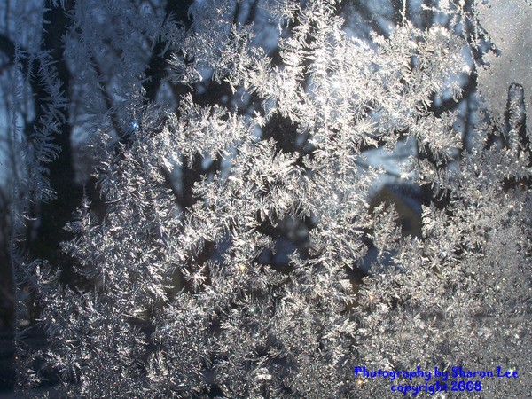 Snowflake Bouque