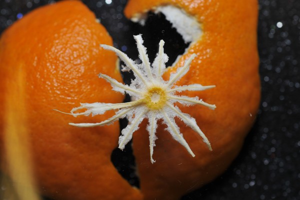 clementine over orange