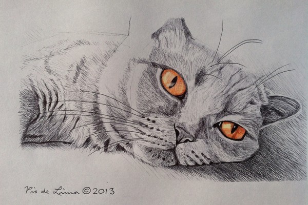 British Shorthair Cat (Original Artwork Sold)