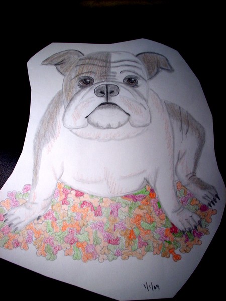Bulldog Pencil Sketch 