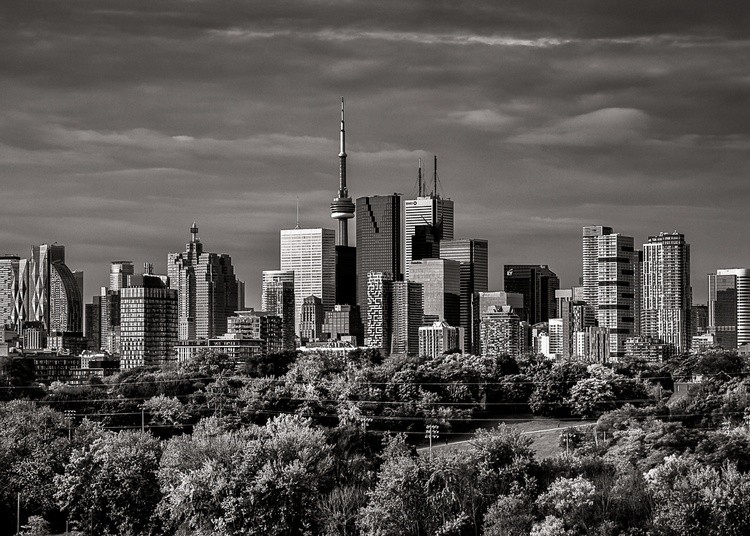 Toronto Skyline From Riverdale Park No 9