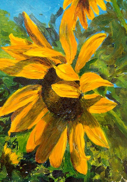 SunFlower #4