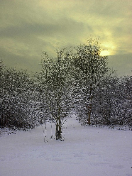 Wembly in snow