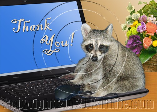 Thank You Raccoon on Computer