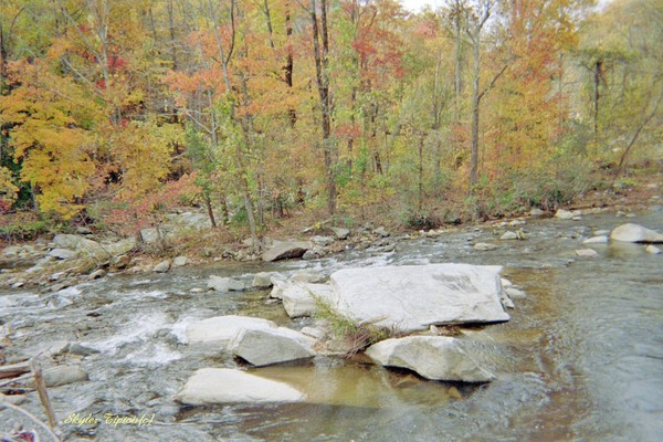 Creek at Chimney Rock