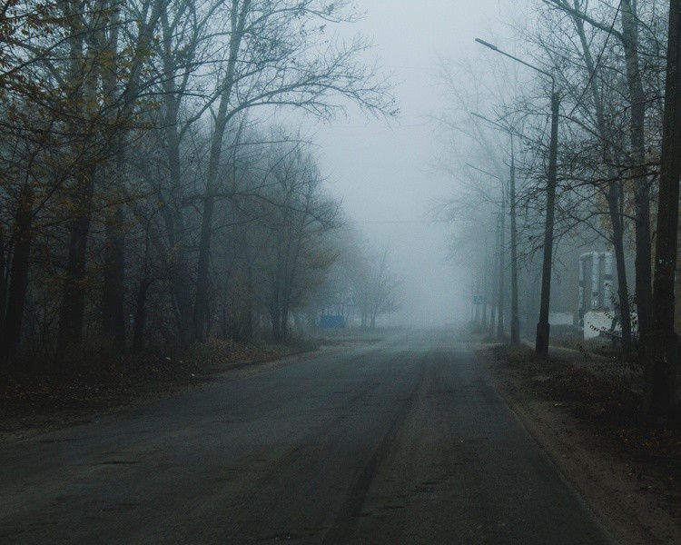 Fog Street