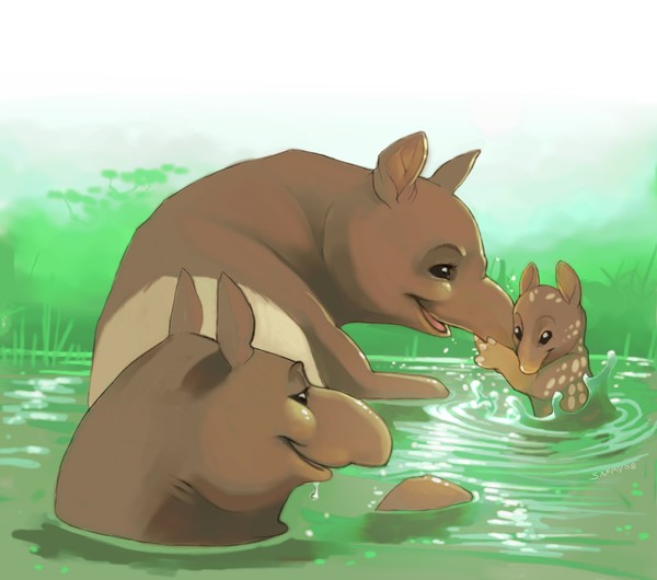 Tapirs first swim