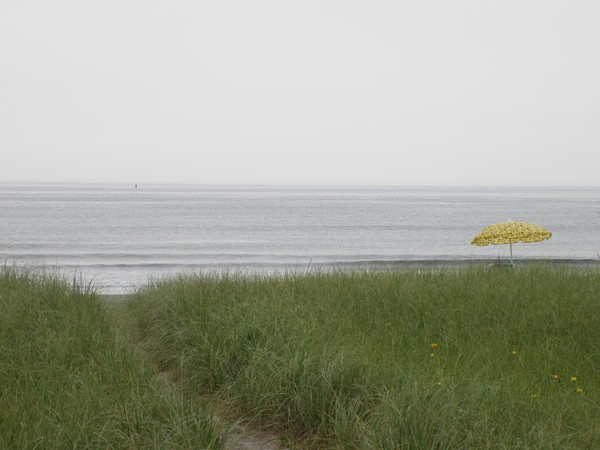 Yellow Umbrella