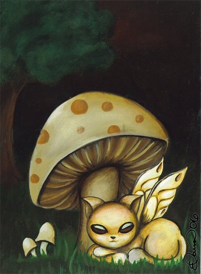 Shrooms