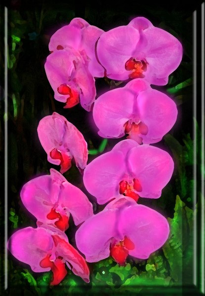 TWO SPRAYS OF LAVENDER ORCHIDS by Michael Forbus