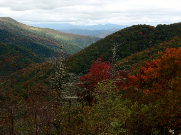 Blue Ridge Parkway Colors