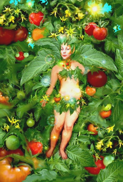 The Tomato Fairy