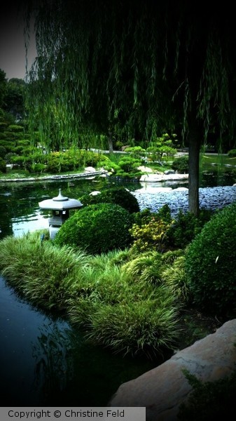 Japanese Gardens, CSU Long Beach