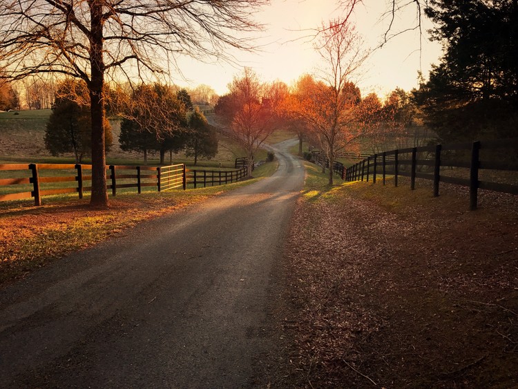 Keswick Farm