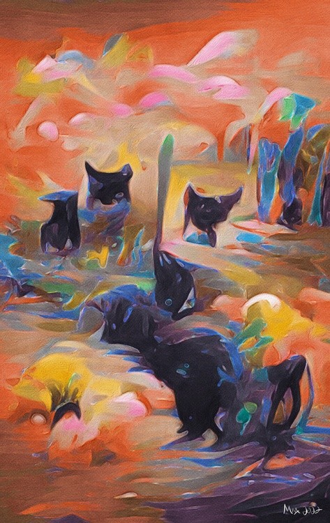 Gatos de negro