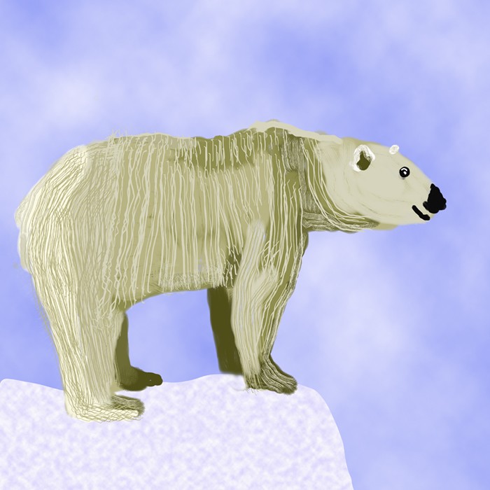 Polar on the Ledge