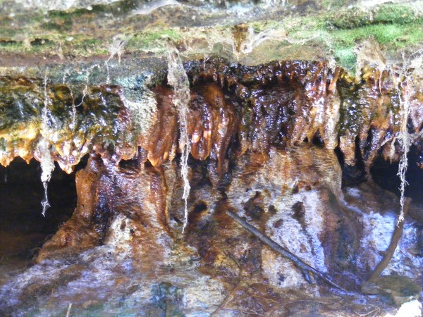 color cave (oldmans cave)