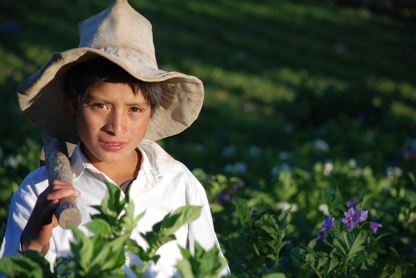 Boy, Cajamarca, Peru