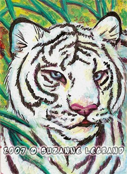 White Tiger ACEO