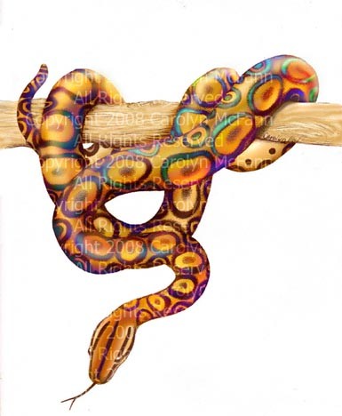 Snake of Many Colors