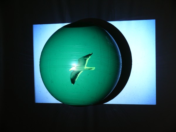 Green Globe 4.