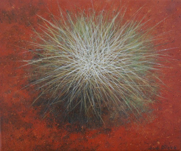 Spinifex Solo - SOLD