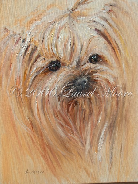 'Yorkie' Yorkshire Terrier oil on canvas.
