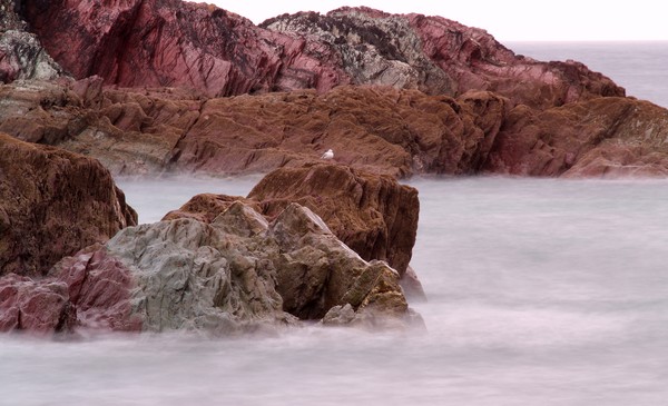 Pink rocks of Talland Bay