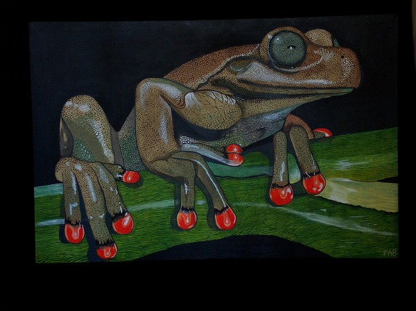 rabbs tree frog #2