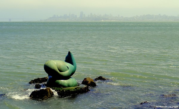 San Francisco from Sausalito